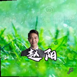 赵阳